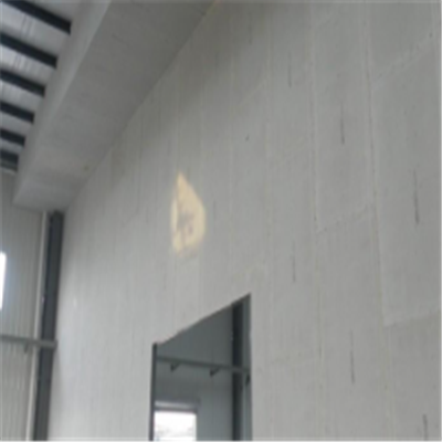 金湾宁波ALC板|EPS加气板隔墙与混凝土整浇联接的实验研讨